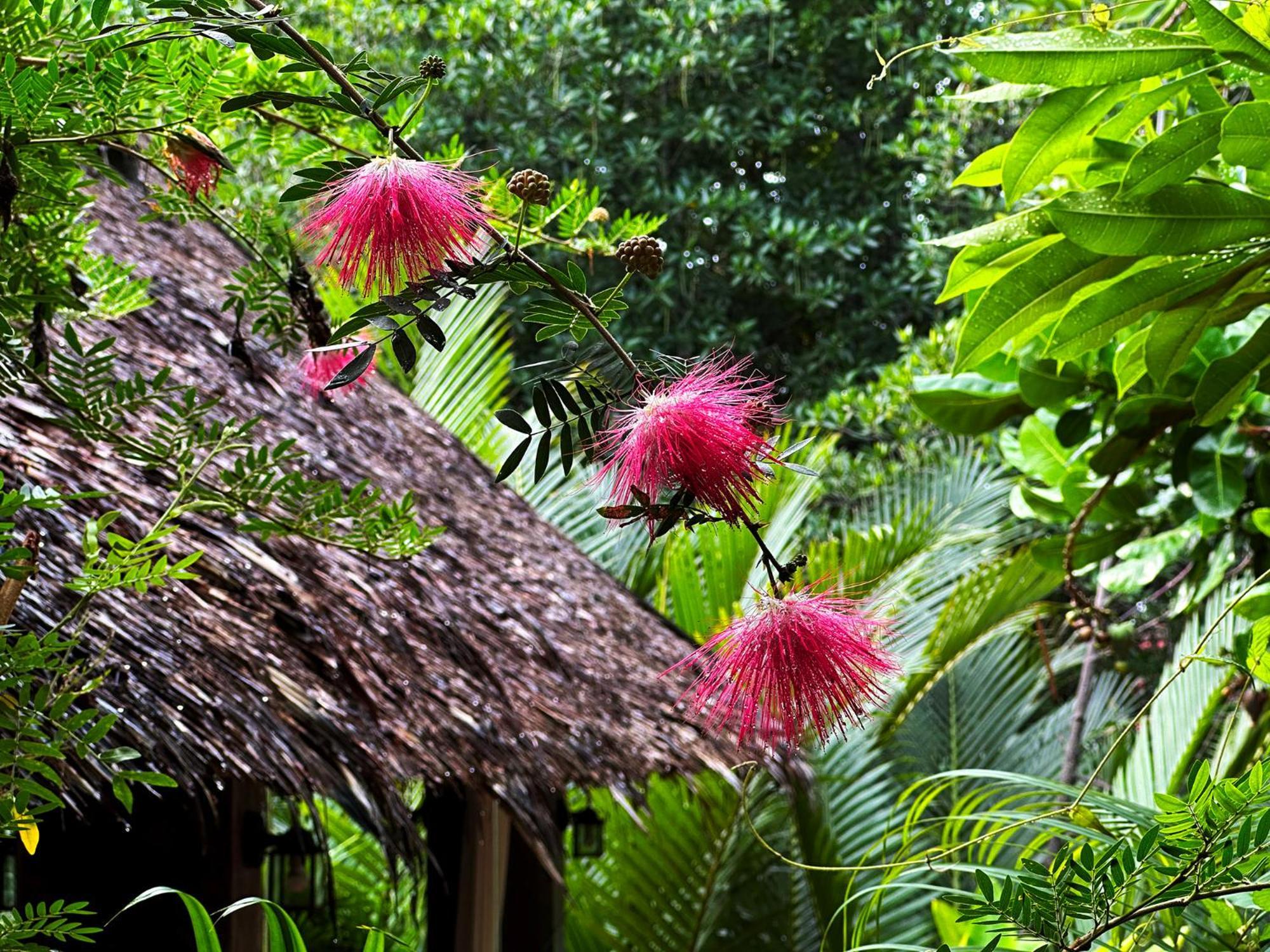 Dreamville Koh Phangan Thongszala Kültér fotó